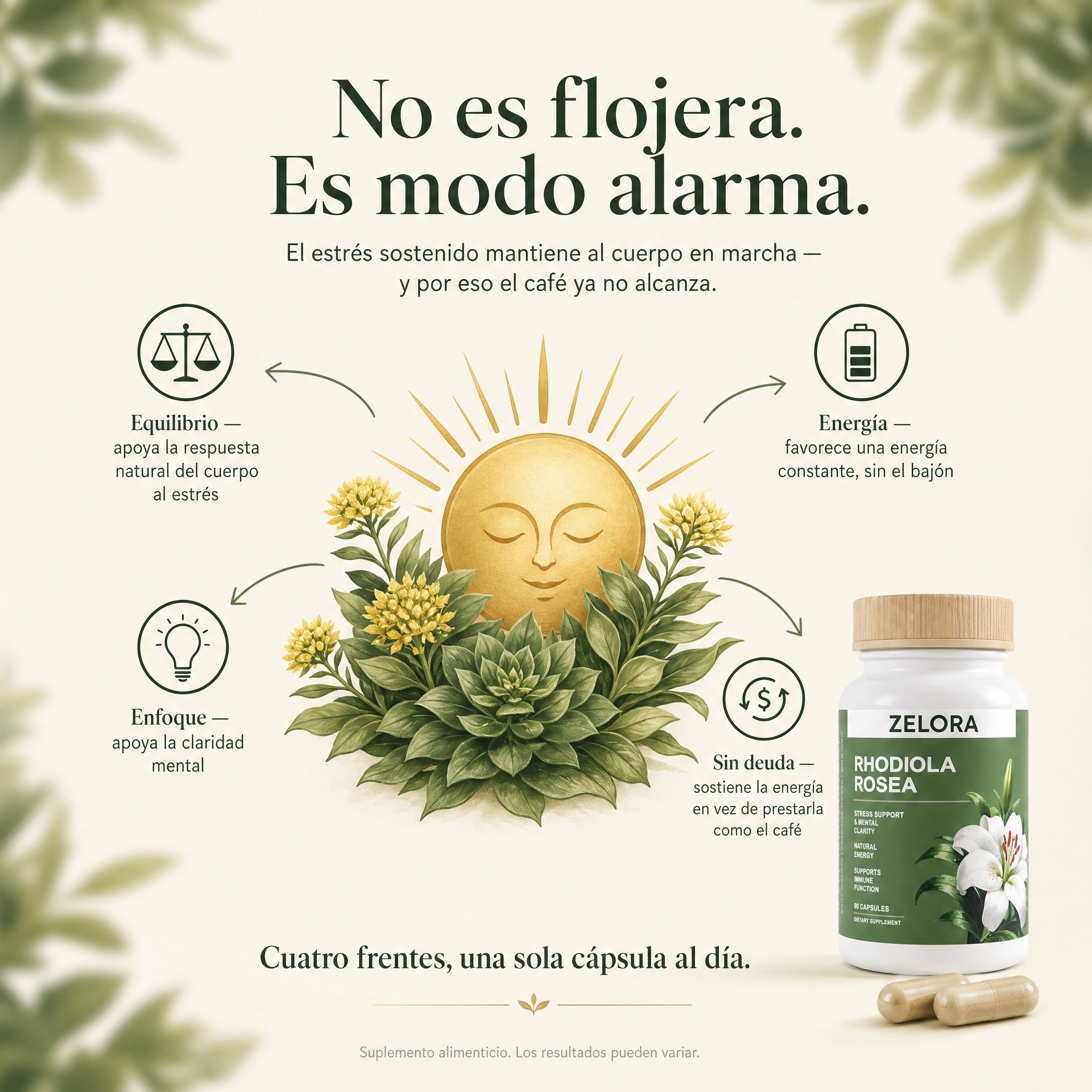 Rhodiola