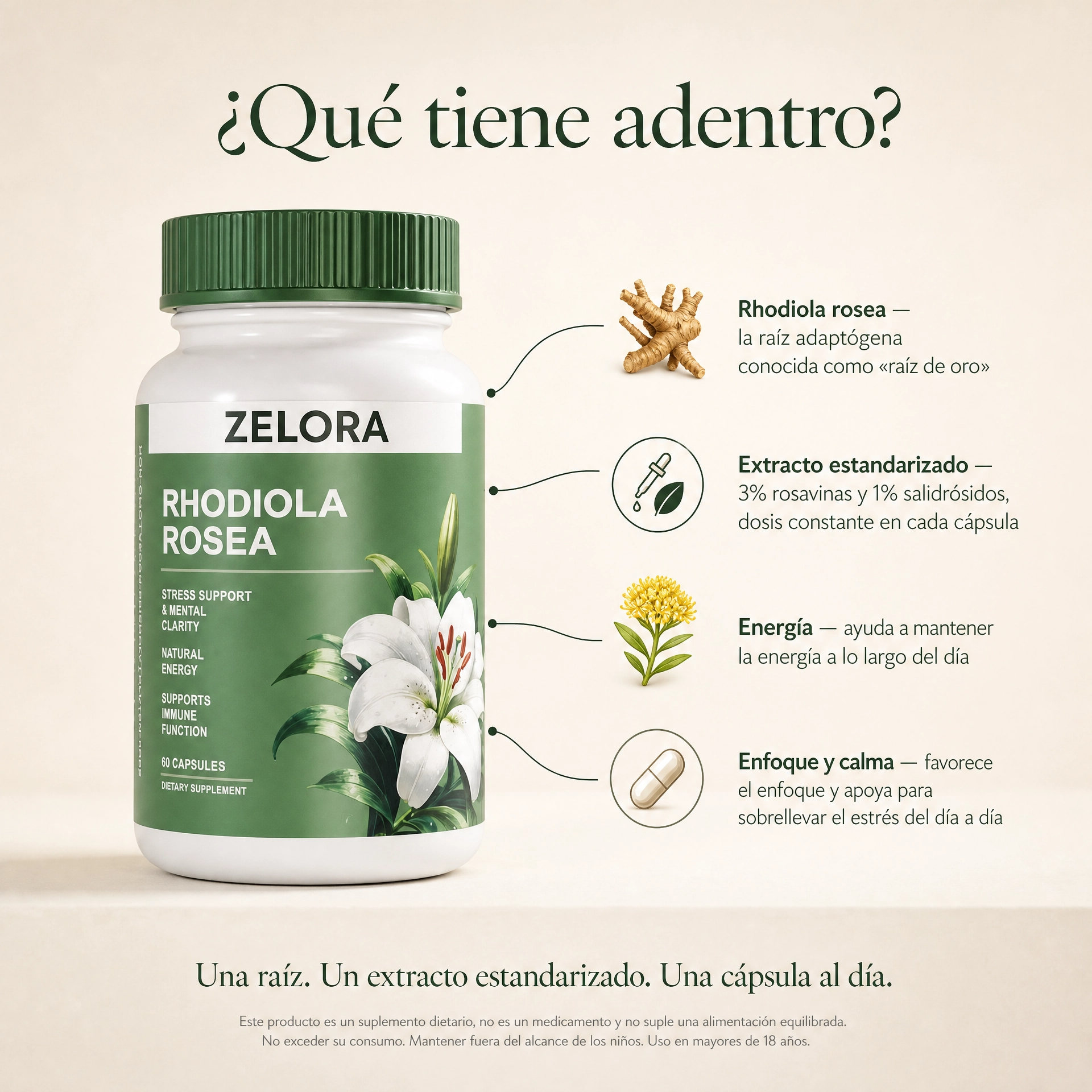 Rhodiola