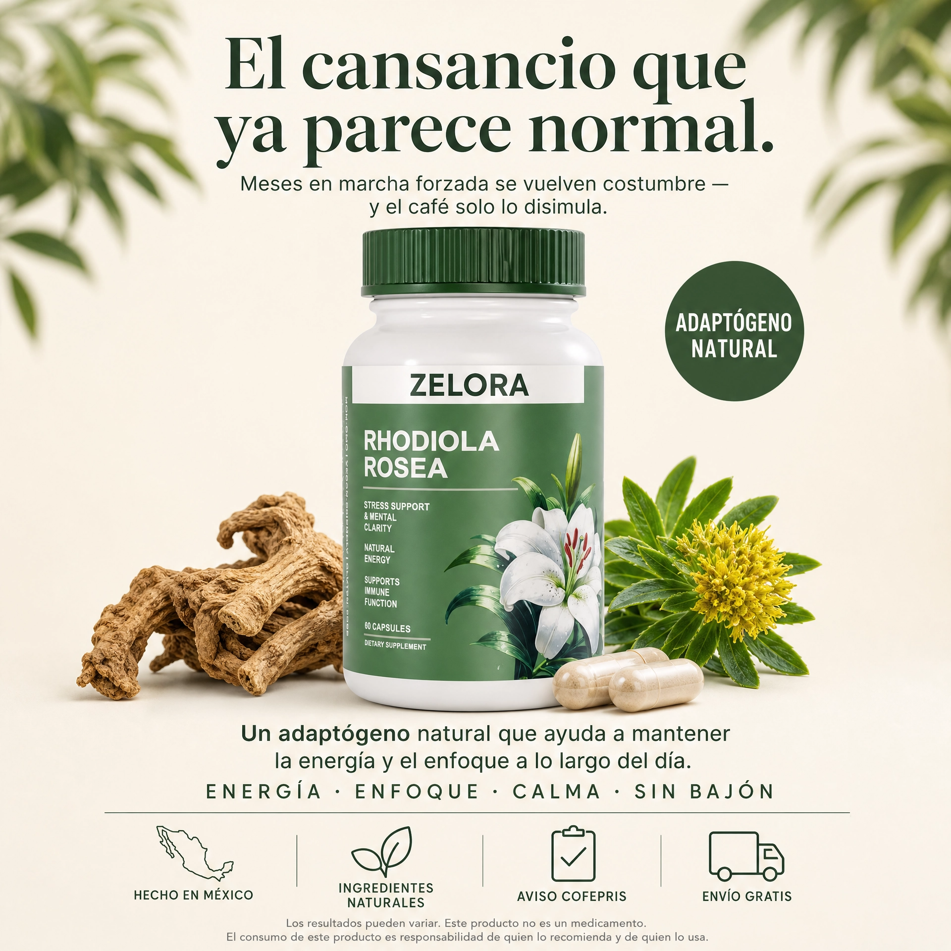 Rhodiola